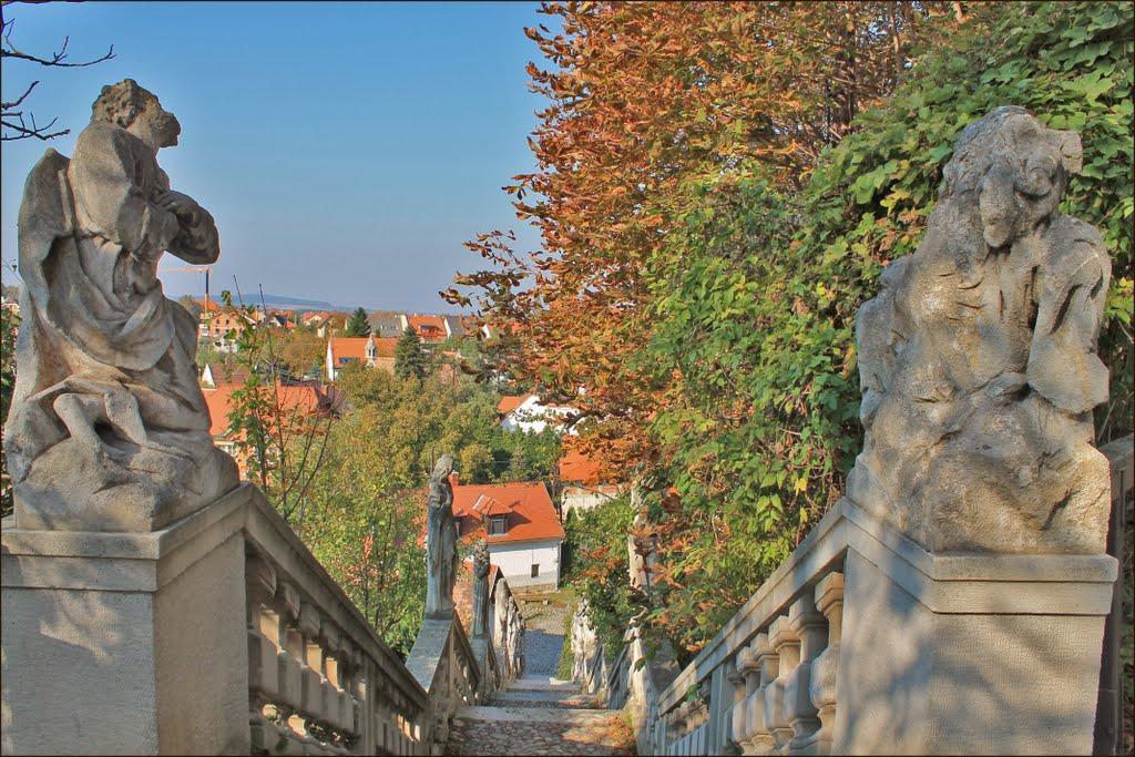 Karmelita Boutique Apartman Sopron Exterior photo